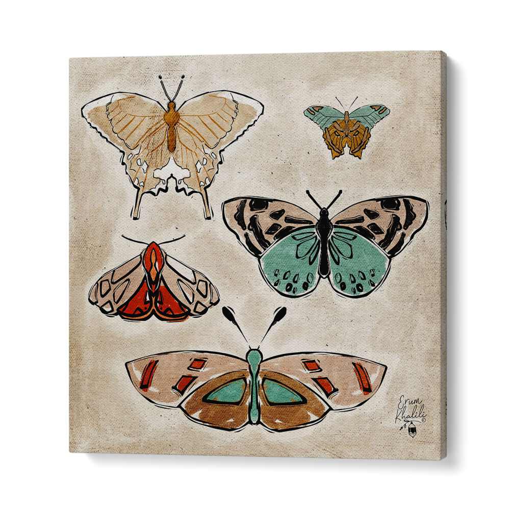 vintage butterflies wildlife painttings in Gallery Wrap