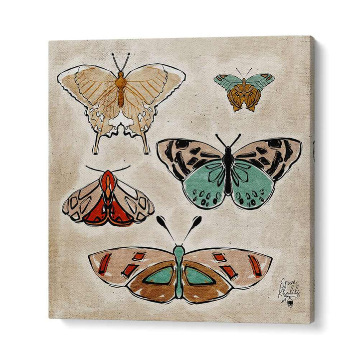 vintage butterflies wildlife painttings in Gallery Wrap