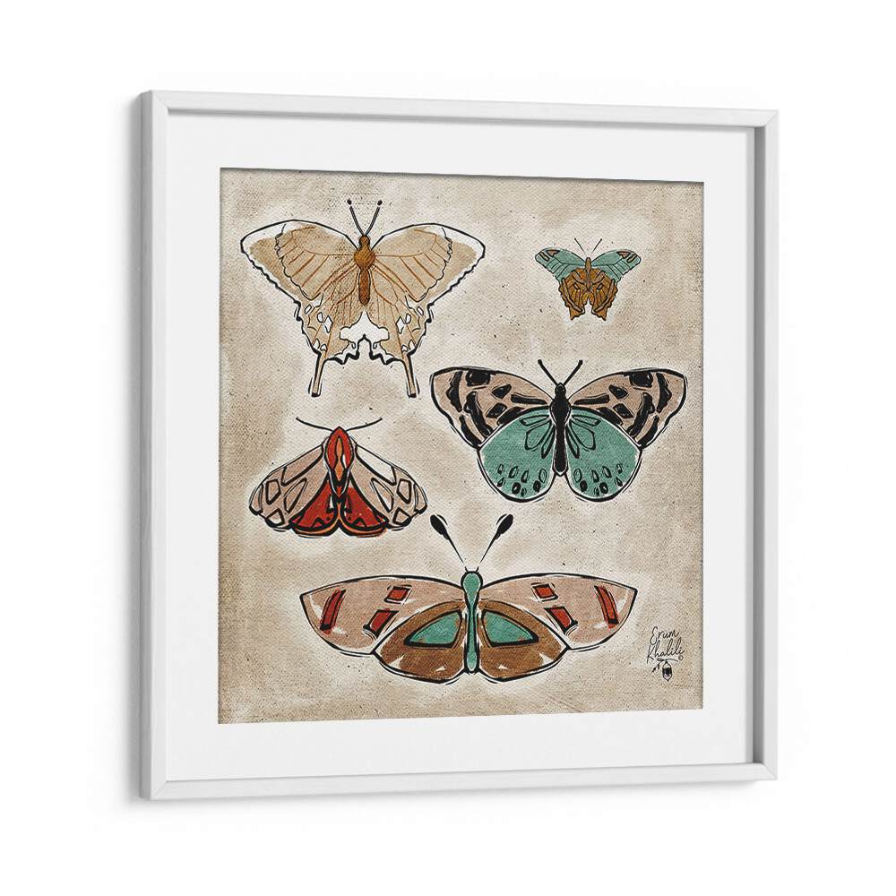 vintage butterflieswildlife painttings in White Frame With Mount