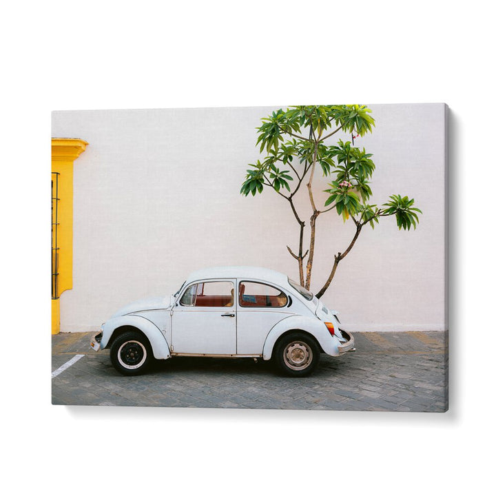 volskwagen beetle-mexico car poster in Gallery Wrap