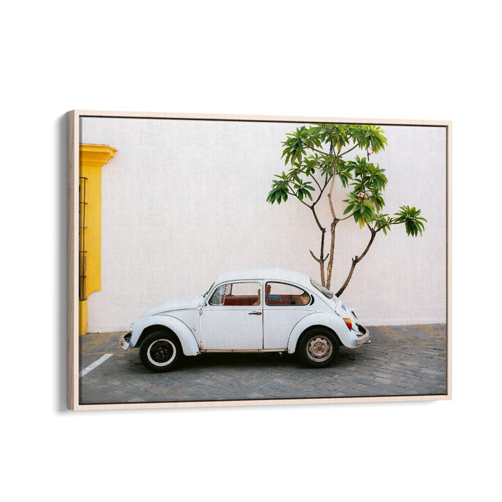 volskwagen beetle-mexico car poster in Oak Wood Floater Frame