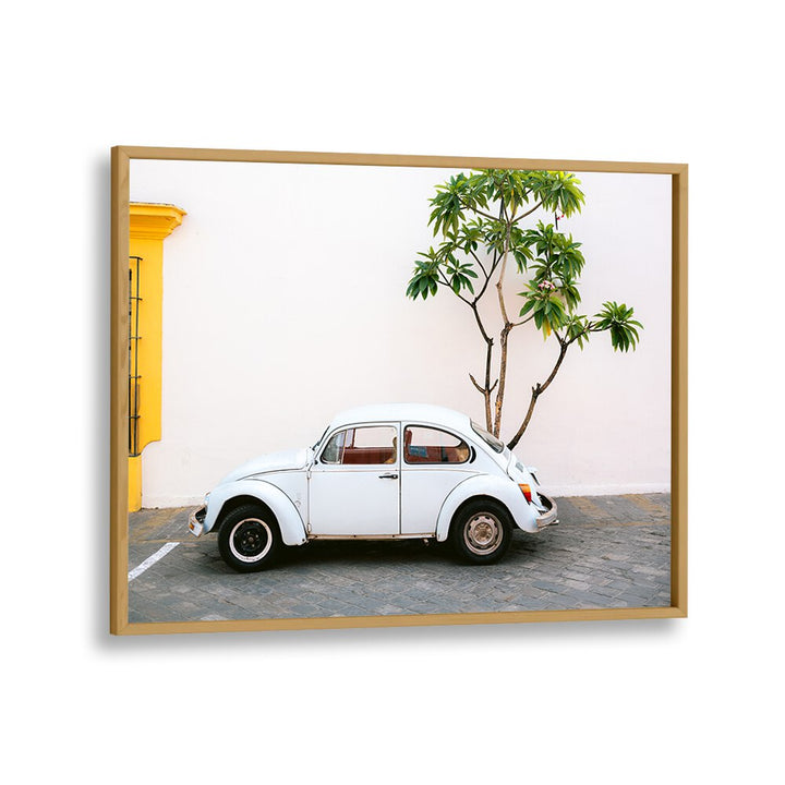 volskwagen beetle-mexico car poster in Oak Wood Plain Frame