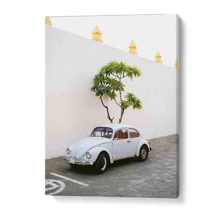 volskwagen beetle-oaxaca mexico car poster in Gallery Wrap