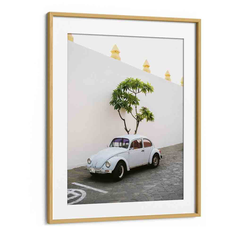 volskwagen beetle-oaxaca mexico car poster in Oak Wood Frame With Mount