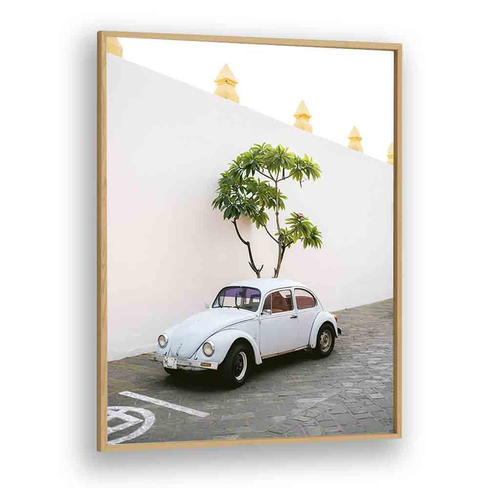 volskwagen beetle-oaxaca mexico car poster in Oak Wood Plain Frame