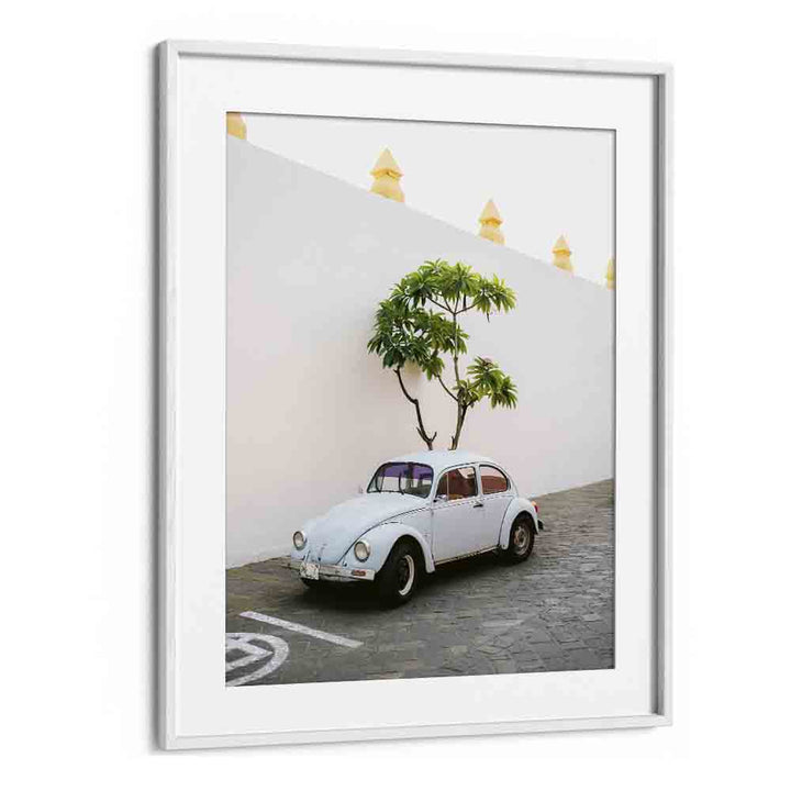 volskwagen beetle-oaxaca mexico car poster in White Frame With Mount