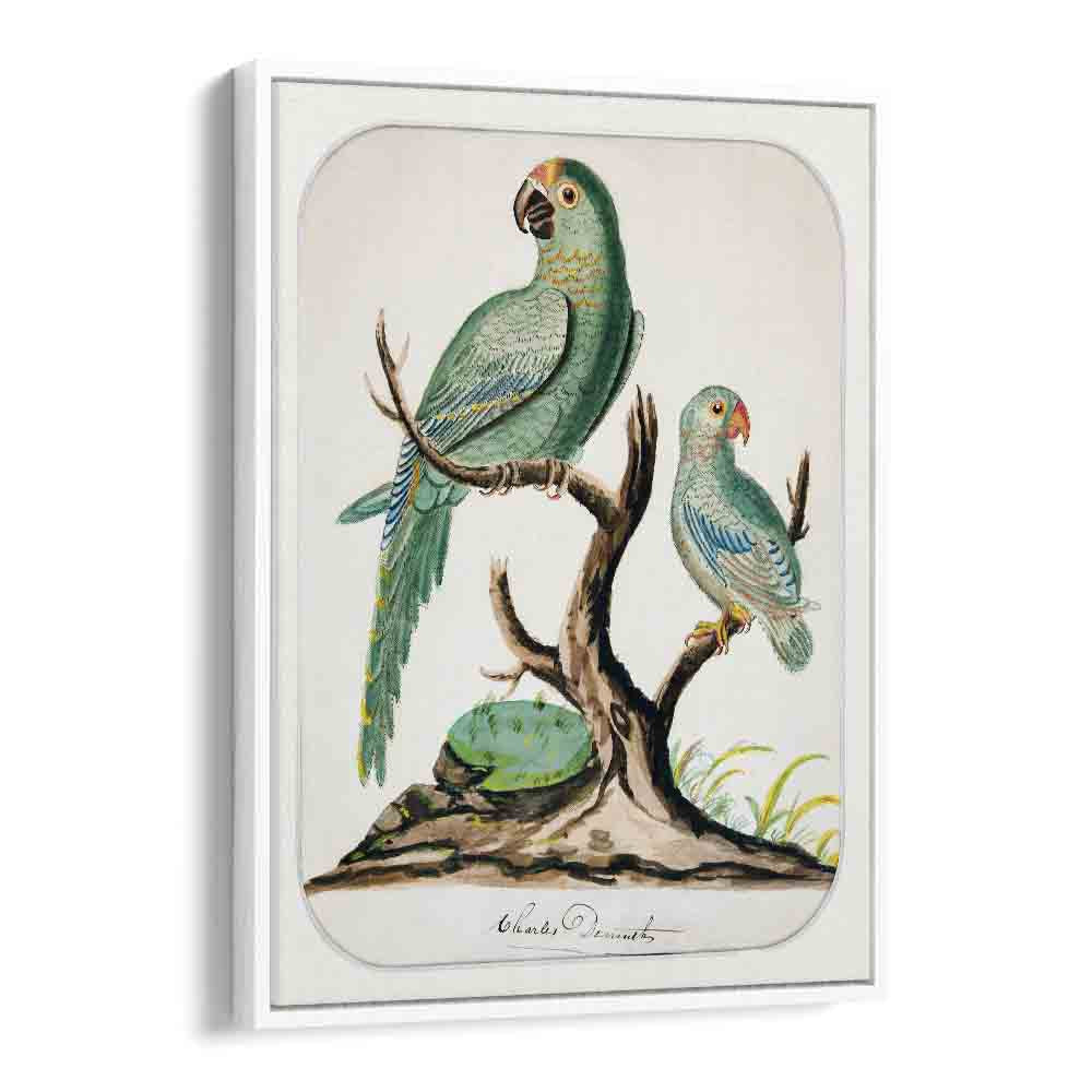 TWO PARROTS ON A BARREN TREE (CA.1916)