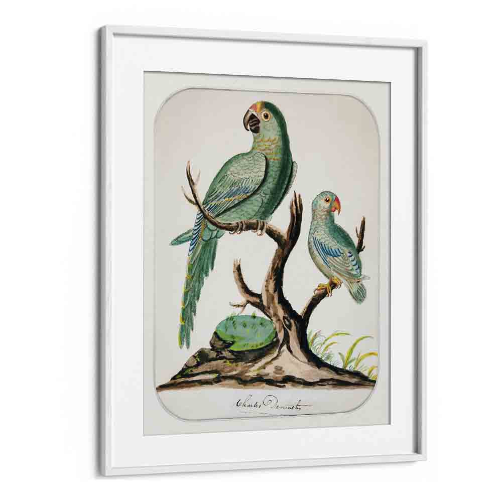 comic painting - TWO PARROTS ON A BARREN TREE (CA.1916) by Asianmonk