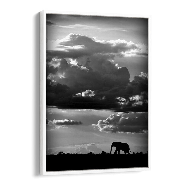 WILD PHOTO ART painting - HE WALKS UNDER AN AFRICAN SKY by Asianmonk