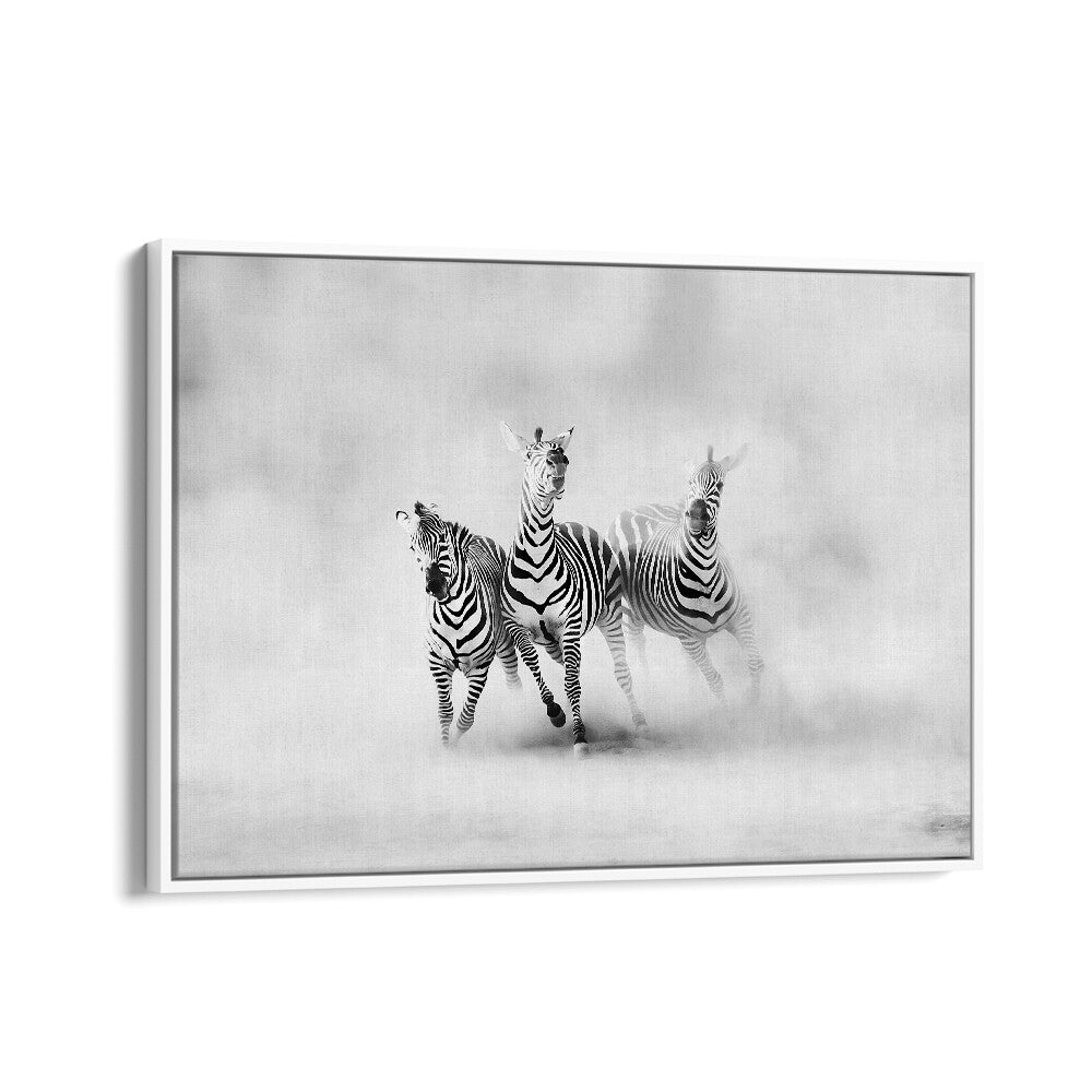 ABSTRACT painting - ZEBRAS by Asianmonk