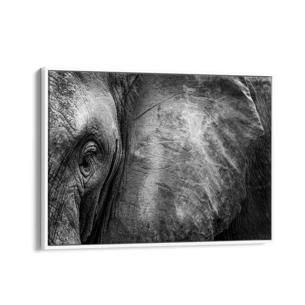 PHOTOGRAPHY painting - ELEPHANT FACE by Asianmonk