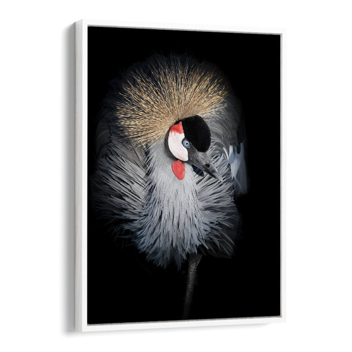 Christian Meermann painting - GREY CROWNED CRANE PORTRAIT by Asianmonk