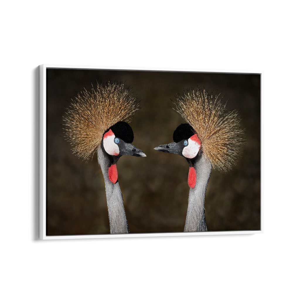 PHOTOGRAPHY painting - GREY CROWNED CRANES APPOINTMENT by Asianmonk