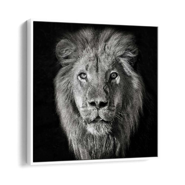 chre painting - LION PORTRAIT- PANTHERA LEO by Asianmonk