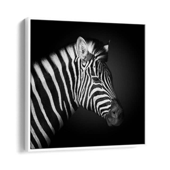 chre painting - ZEBRA BY FEGARI by Asianmonk