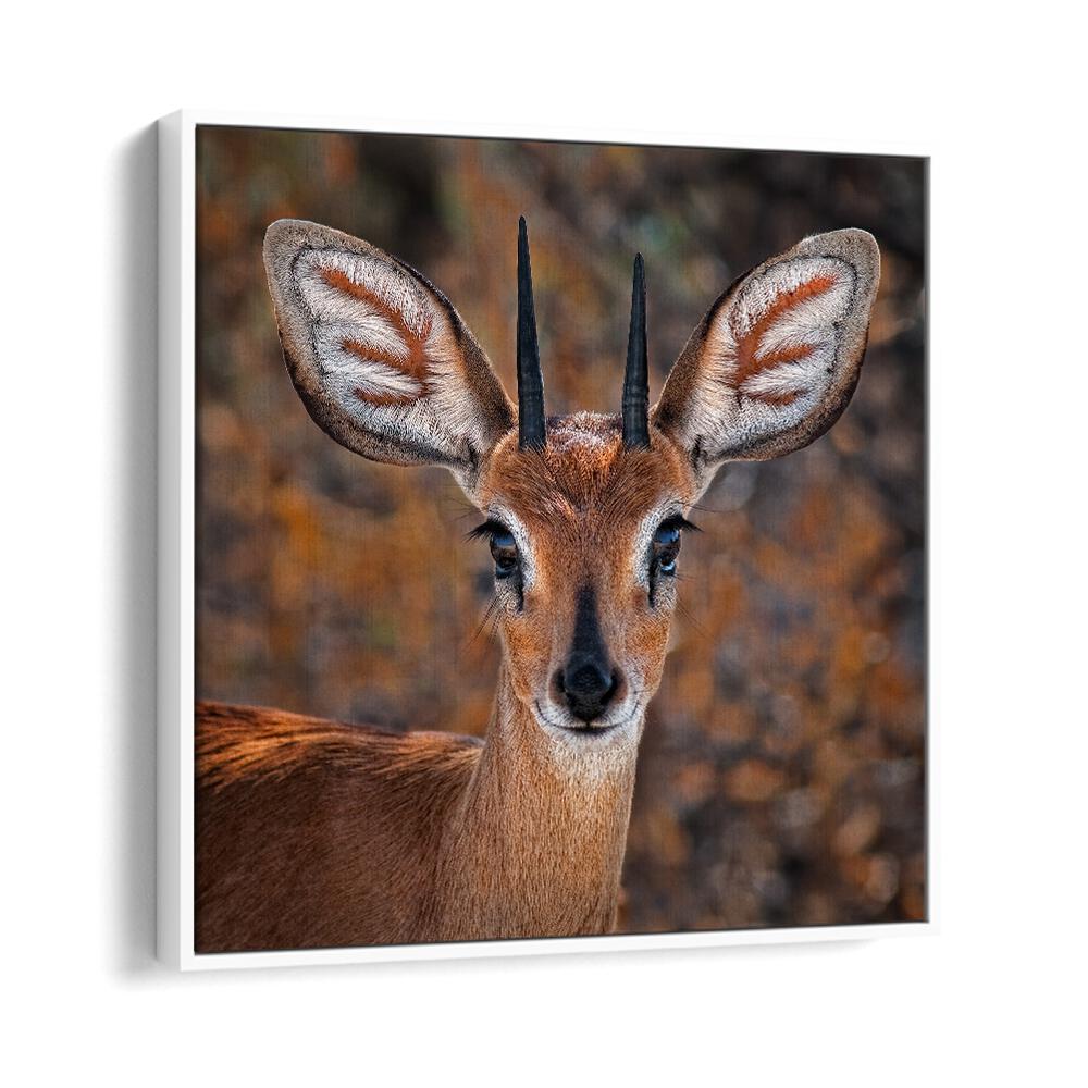 chre painting - STEENBOK by Asianmonk