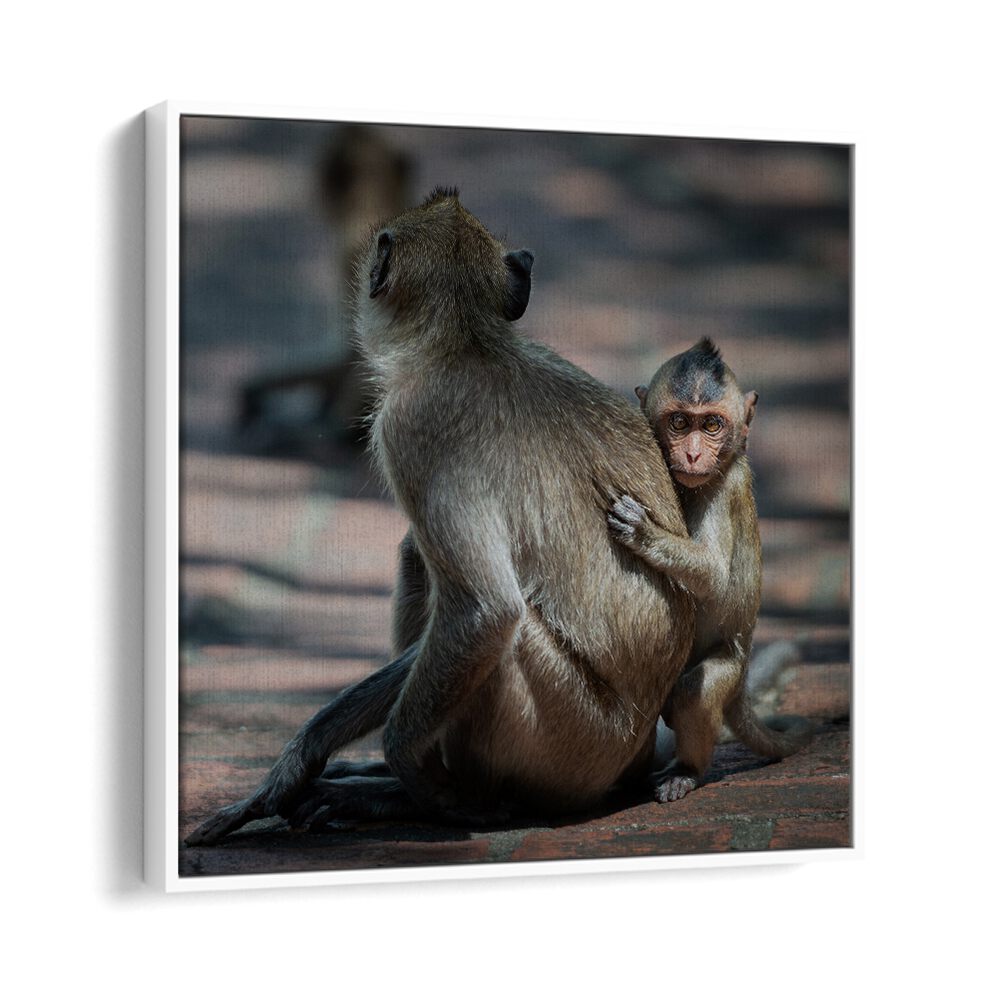 chre painting - BABY MONKEY by Asianmonk