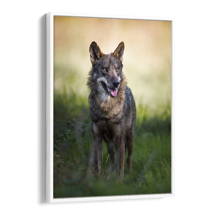 Christian Meermann painting - CANIS LUPUS SIGNATUS by Asianmonk