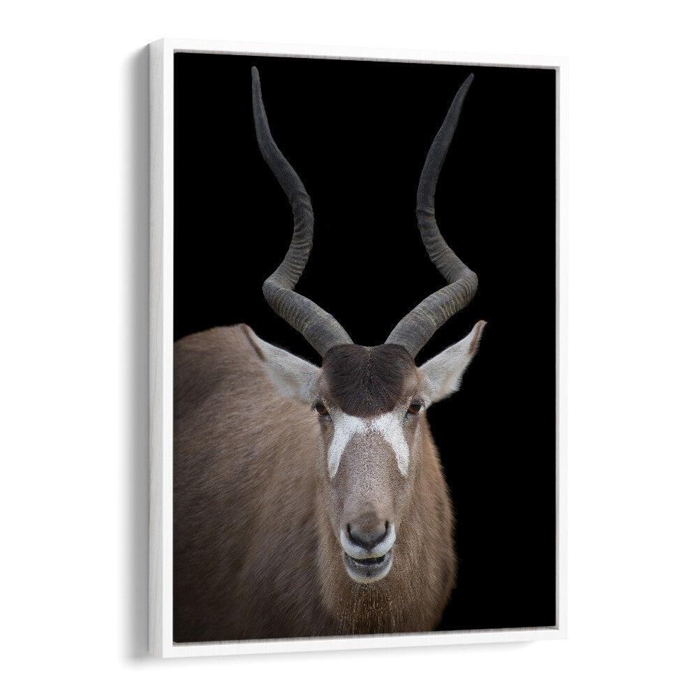 Christian Meermann painting - ADDAX NASOMACULATUS PORTRAIT by Asianmonk