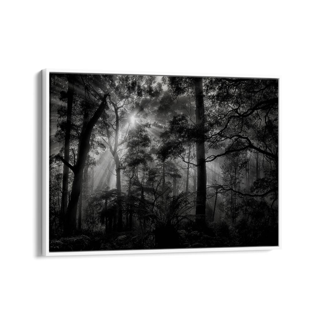 PHOTOGRAPHY painting - PRIMARY FOREST by Asianmonk