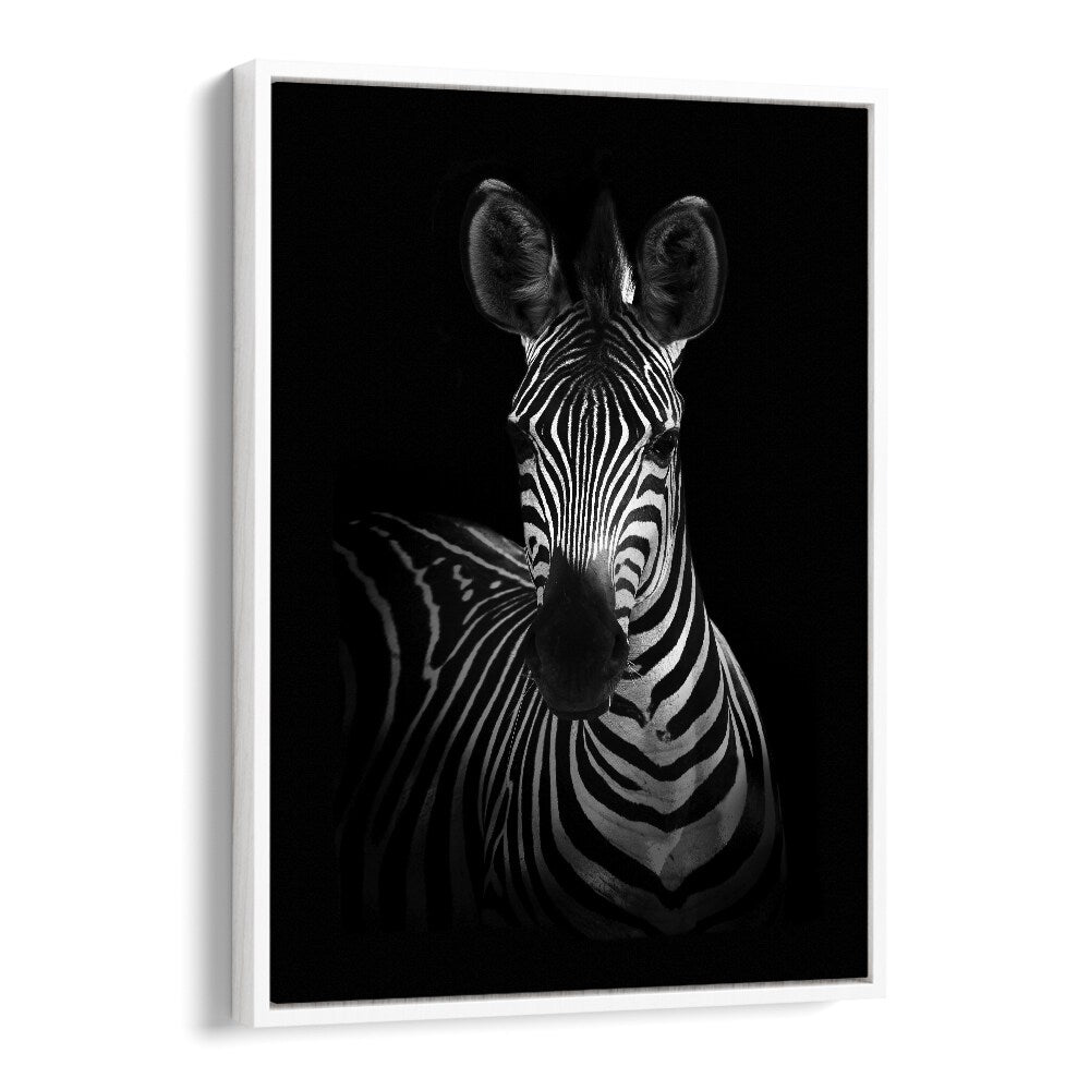 Christian Meermann painting - THE ZEBRA I by Asianmonk