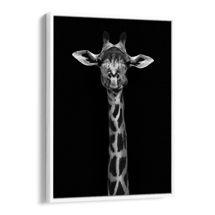 GIRAFFE PORTRAIT