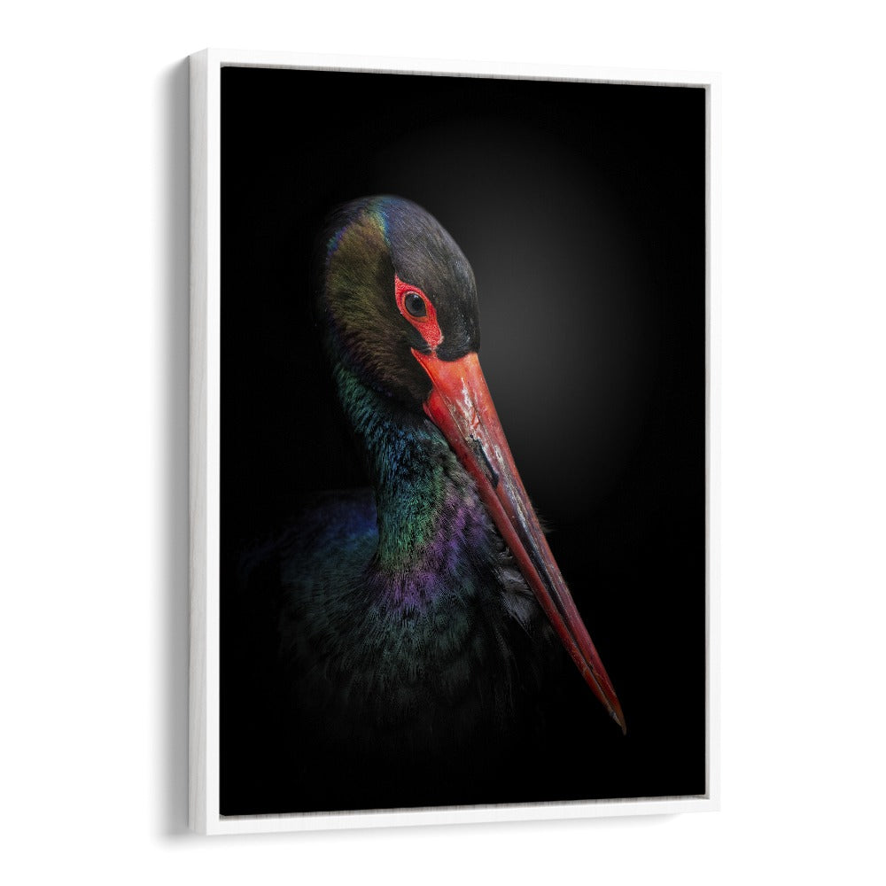 Christian Meermann painting - THE BLACK STORK by Asianmonk