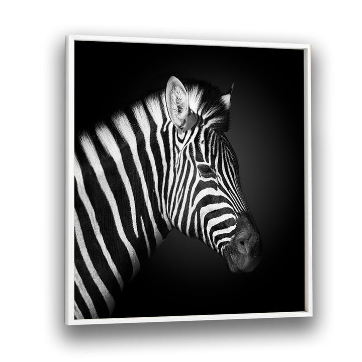 ZEBRA BY FEGARI