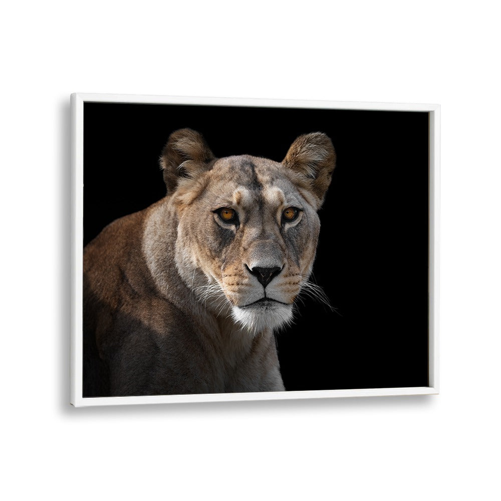 PHOTOGRAPHY painting - LIONESS PORTRAIT by Asianmonk