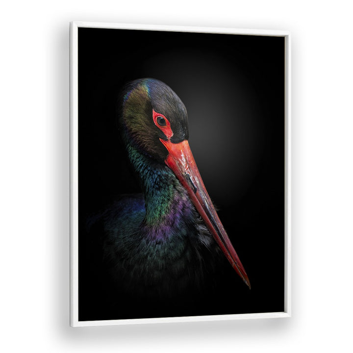 Christian Meermann painting - THE BLACK STORK by Asianmonk