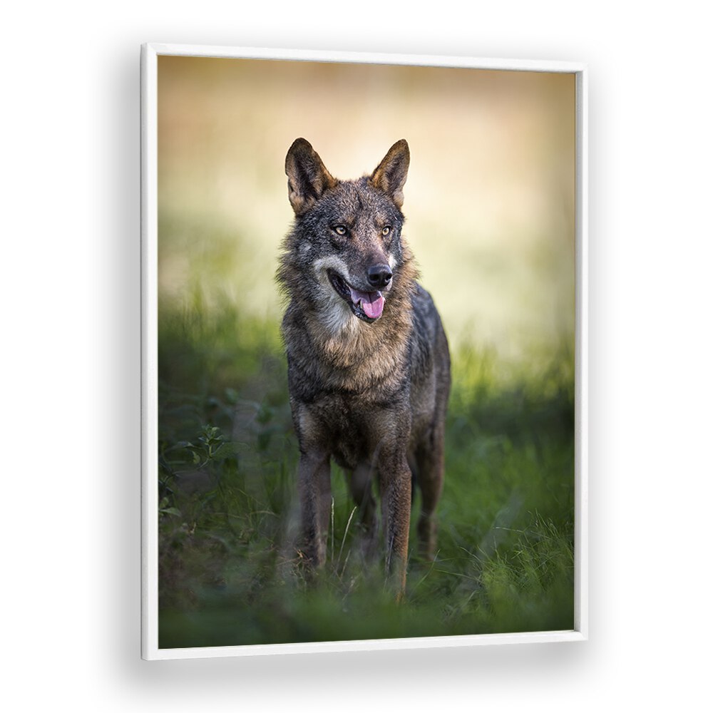 Christian Meermann painting - CANIS LUPUS SIGNATUS by Asianmonk