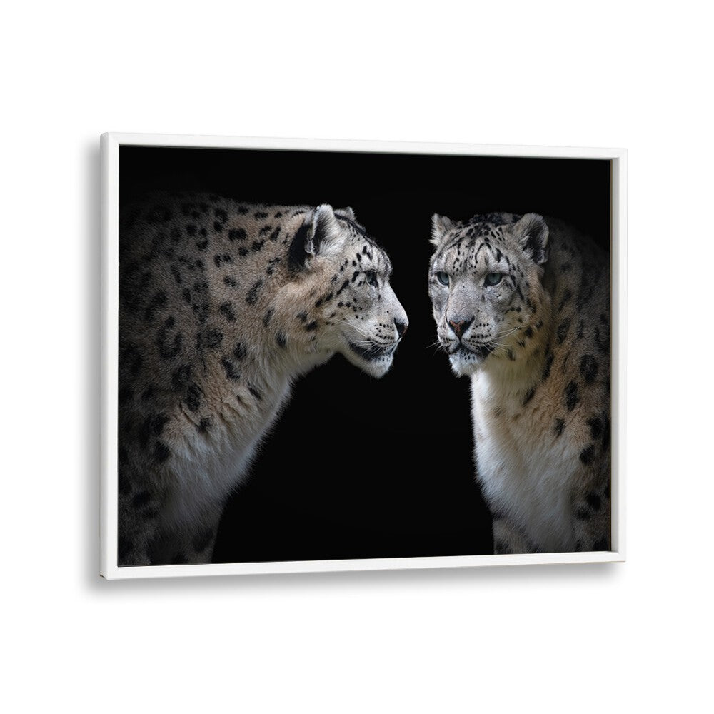 PHOTOGRAPHY painting - LIKE A MIRROR - PANTHERA UNCIA by Asianmonk