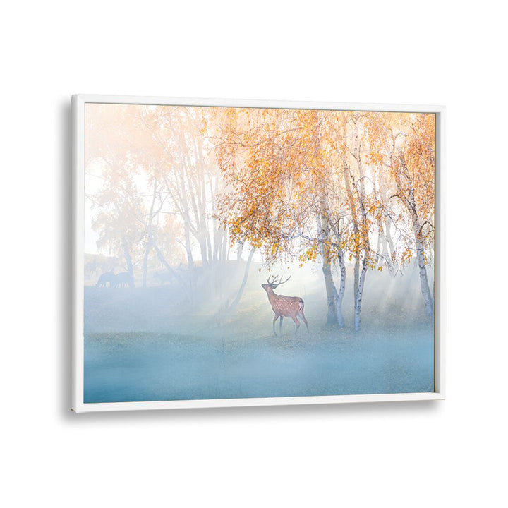 PHOTOGRAPHY painting - ELK LOST IN MIST by Asianmonk