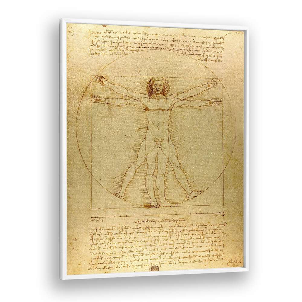 VITRUVIAN MAN