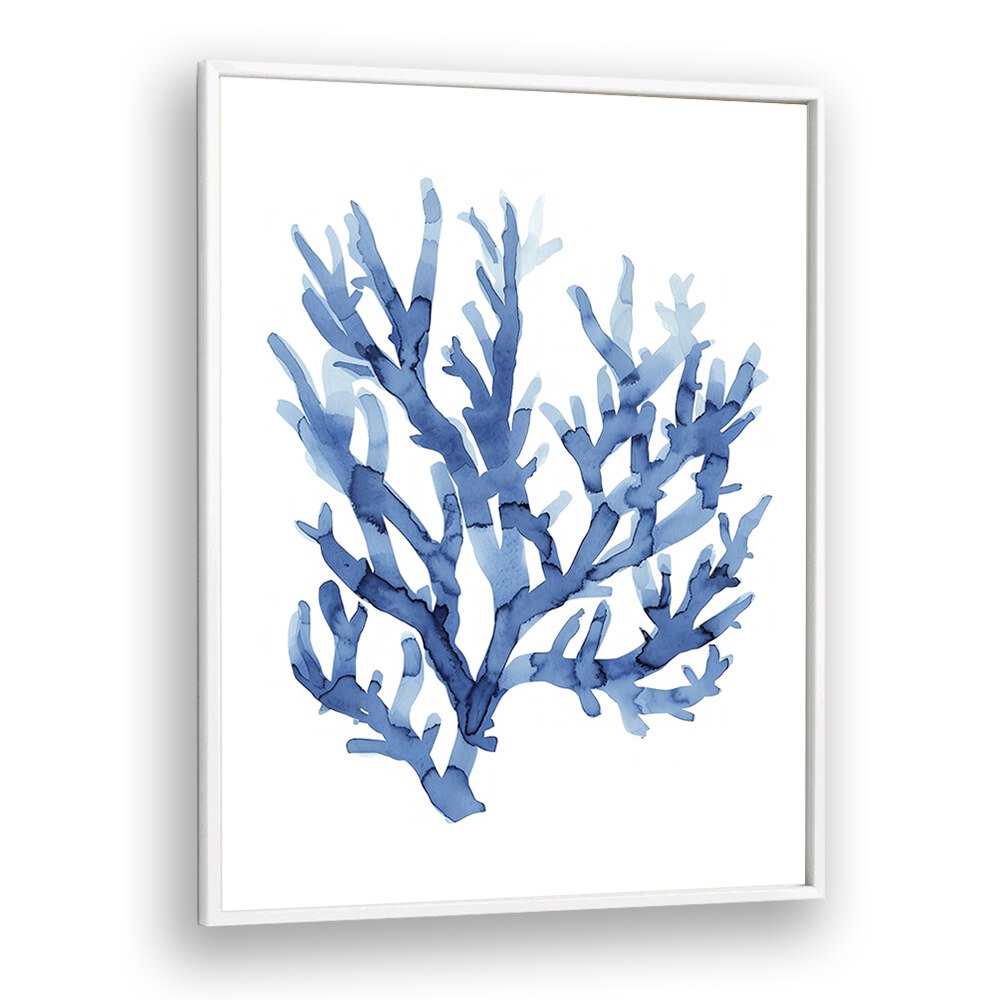 MARINE BOTANICALS I