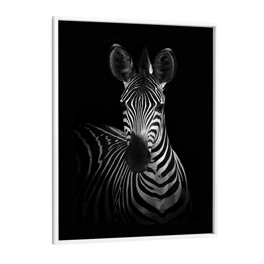 Christian Meermann painting - THE ZEBRA I by Asianmonk