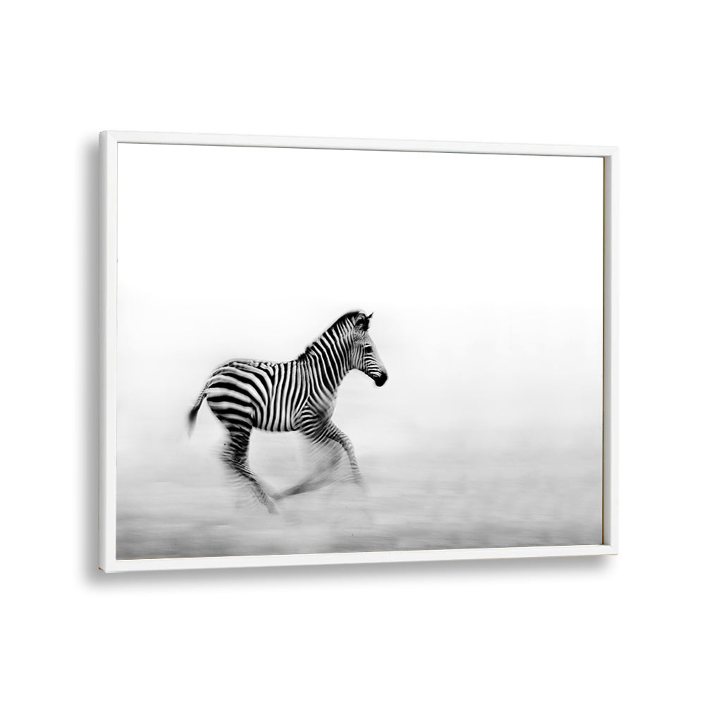 PHOTOGRAPHY painting - ZEBRA RUN by Asianmonk