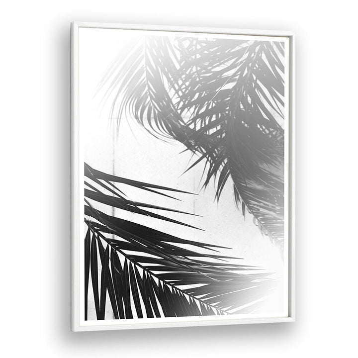 Ritvik Takkar painting - SUMMER PALMS by Asianmonk