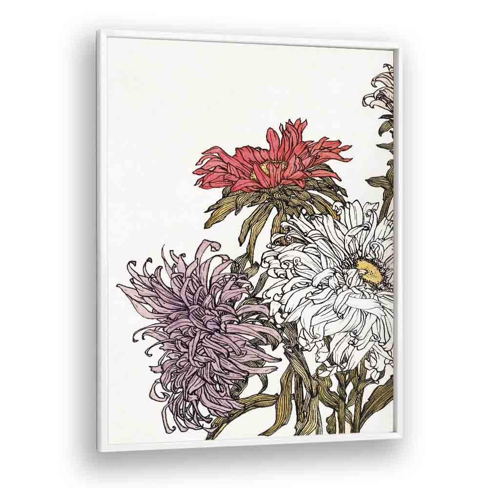 CHRYSANTHEMUMS