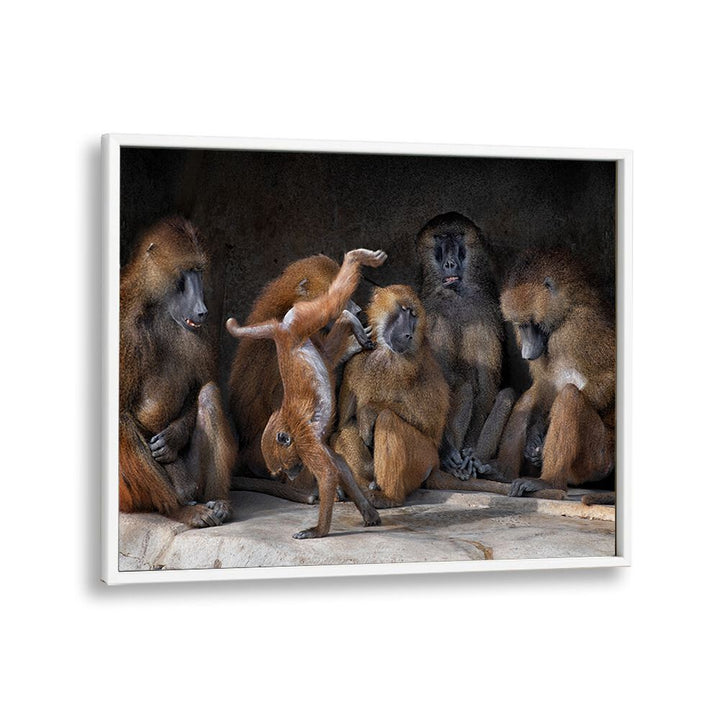 PHOTOGRAPHY painting - FAMILY SCENE - PAPIO PAPIO by Asianmonk