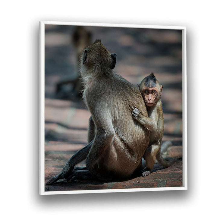 chre painting - BABY MONKEY by Asianmonk