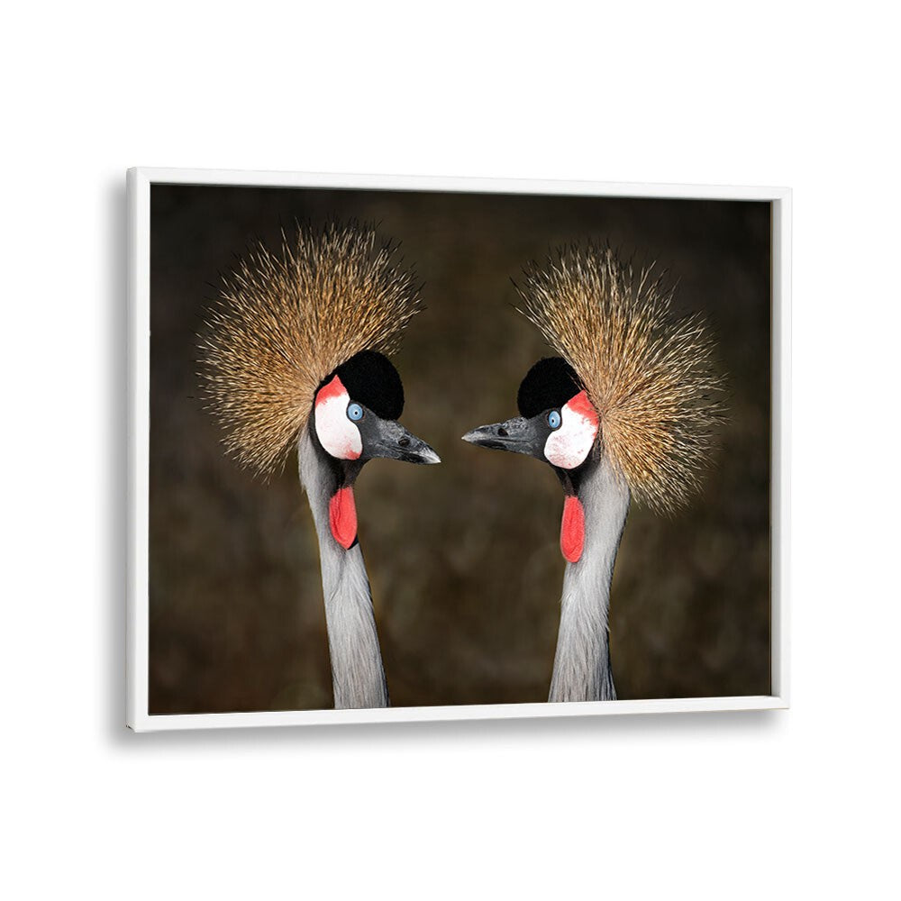 PHOTOGRAPHY painting - GREY CROWNED CRANES APPOINTMENT by Asianmonk