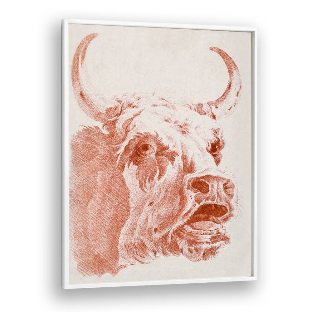 HEAD OF A COW (CA.1778)