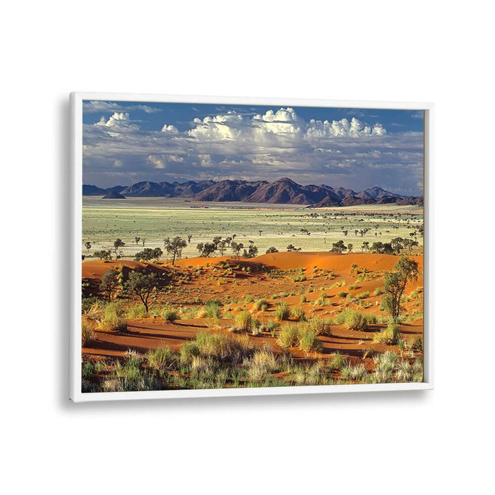 PHOTOGRAPHY painting - TOK TOKKIE DESERT by Asianmonk