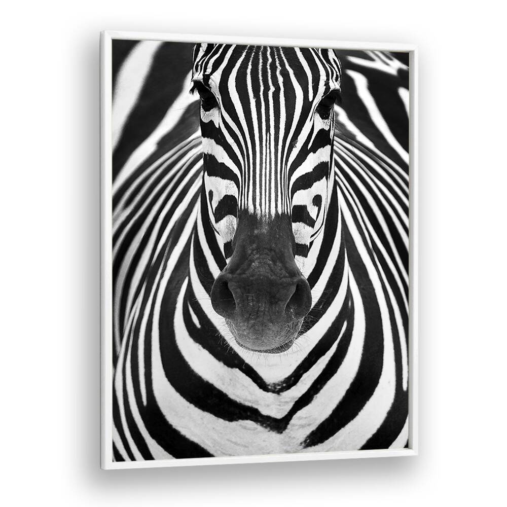 Christian Meermann painting - ZEBRA by Asianmonk