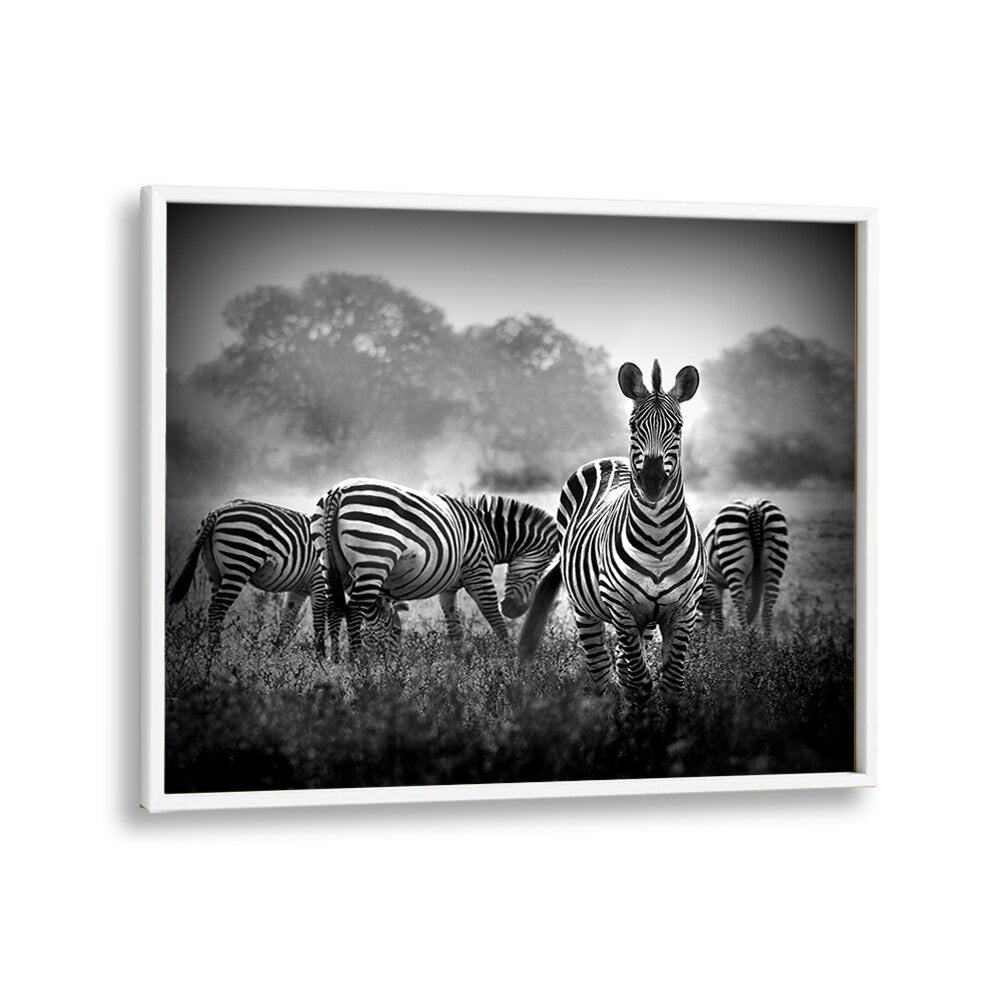 PHOTOGRAPHY painting - STALLION IN A PIN STRIPE SUIT by Asianmonk