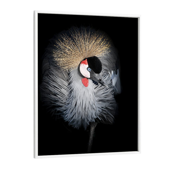 Christian Meermann painting - GREY CROWNED CRANE PORTRAIT by Asianmonk