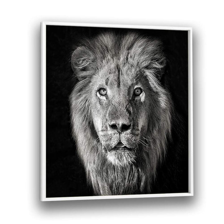 chre painting - LION PORTRAIT- PANTHERA LEO by Asianmonk