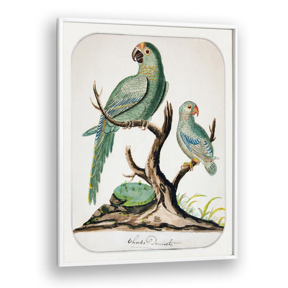 comic painting - TWO PARROTS ON A BARREN TREE (CA.1916) by Asianmonk