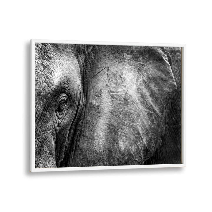 PHOTOGRAPHY painting - ELEPHANT FACE by Asianmonk